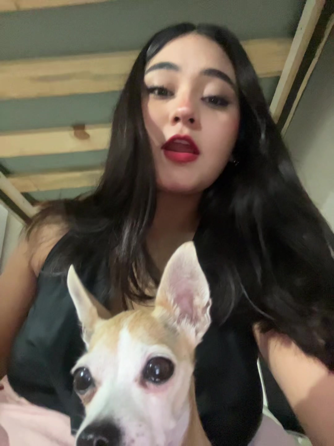 @vivi