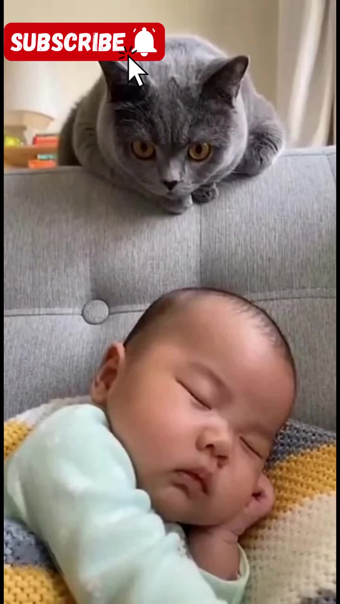 @Cute Baby Puppy Loves