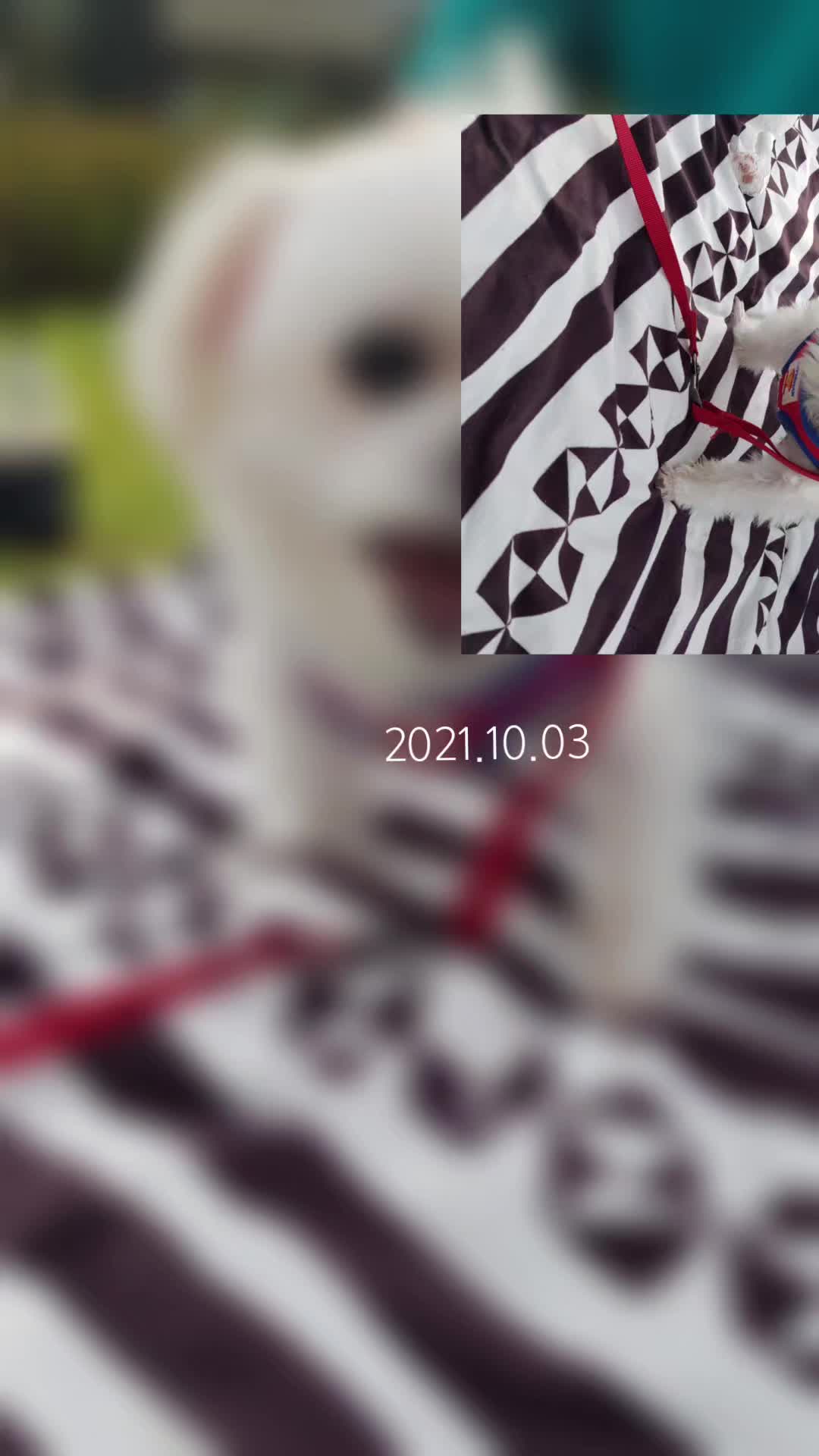 @초롱맘