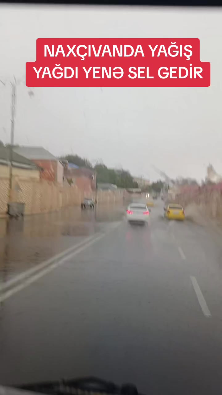 @Qasım_Tofiqoğlu