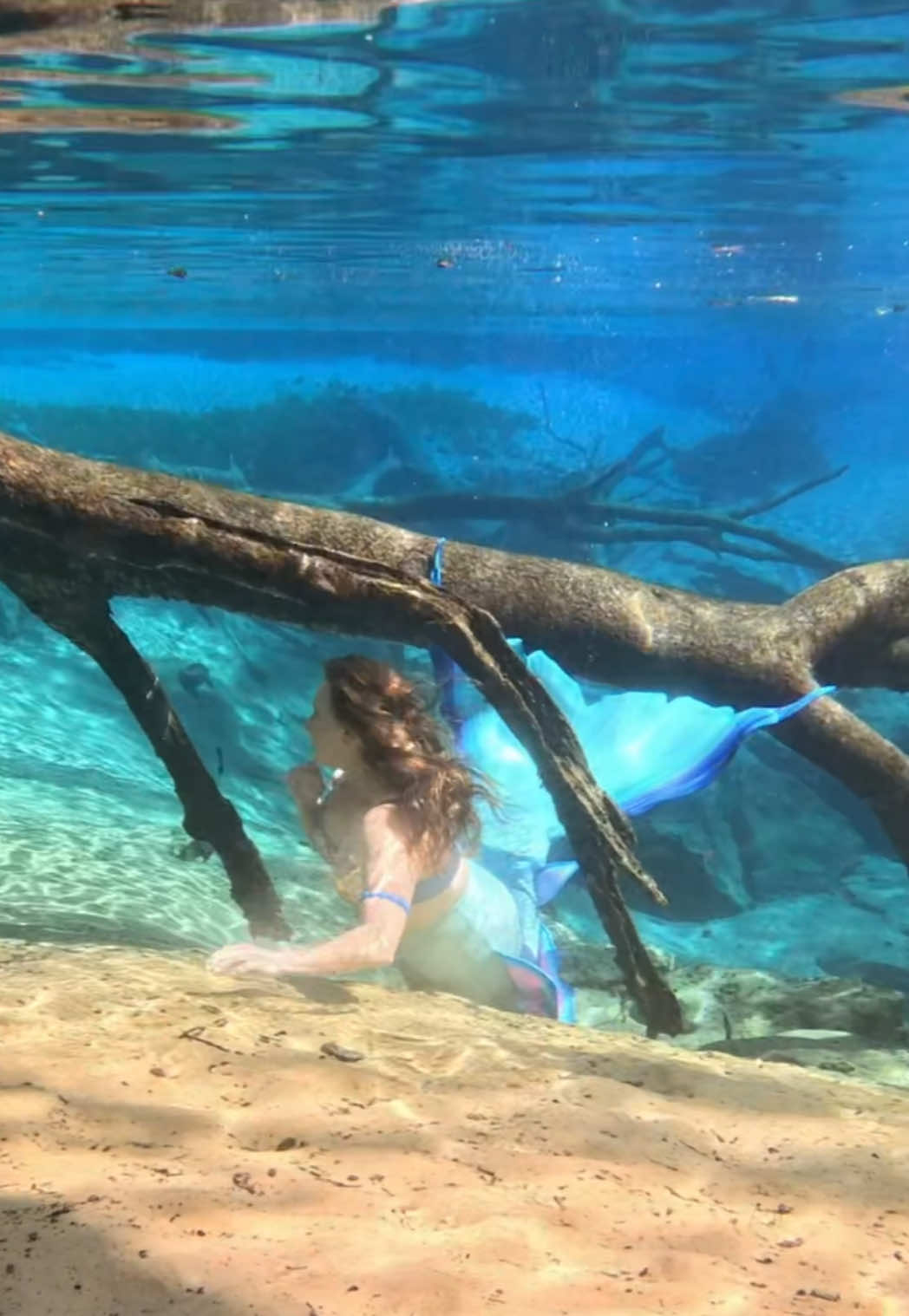 @Gulf Coast Mermaid 🧜&zwj;♀️
