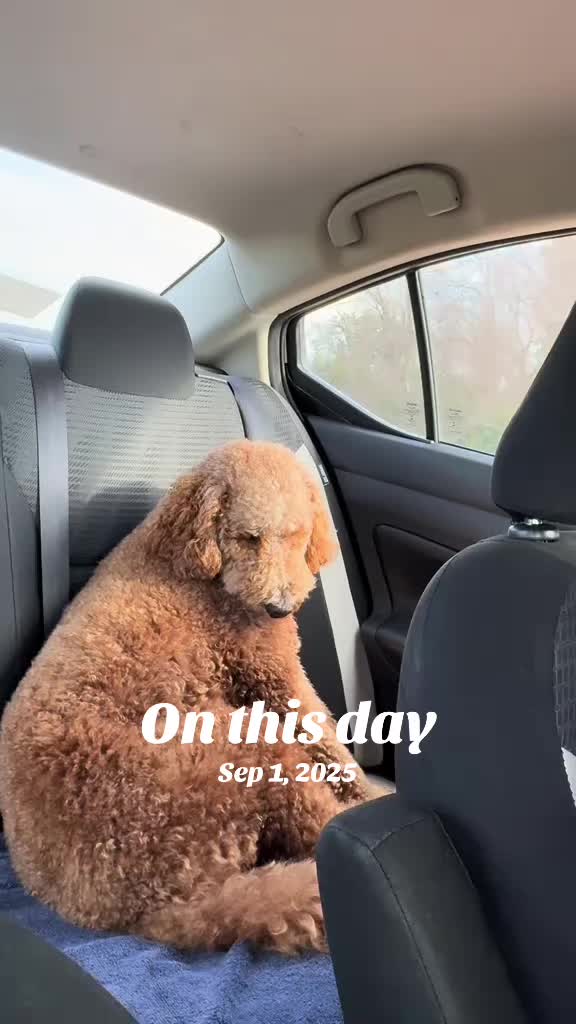 @Reyna y Churro 🐶😍