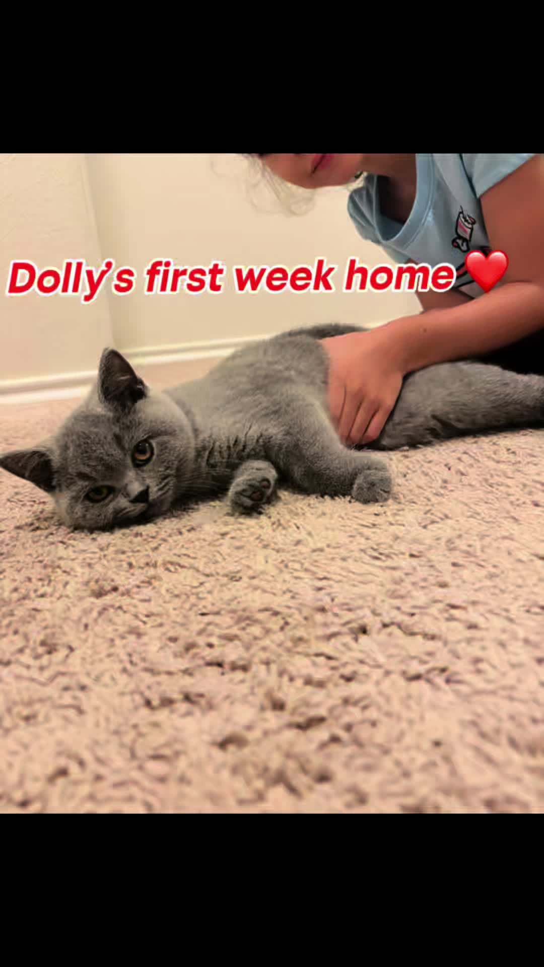 @LittleMissDolly