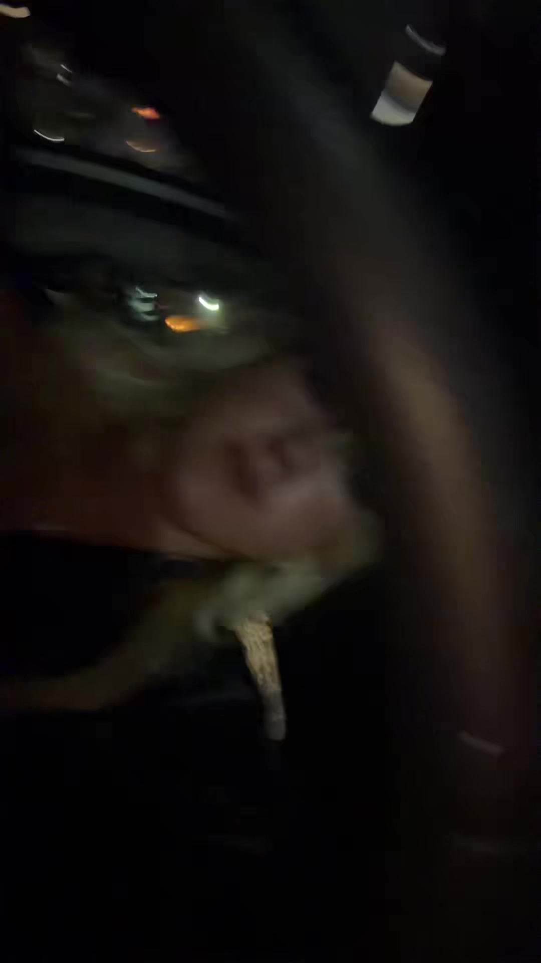 @user.5395529-5