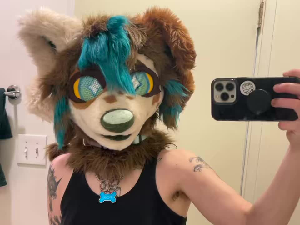 @a wolf named fox