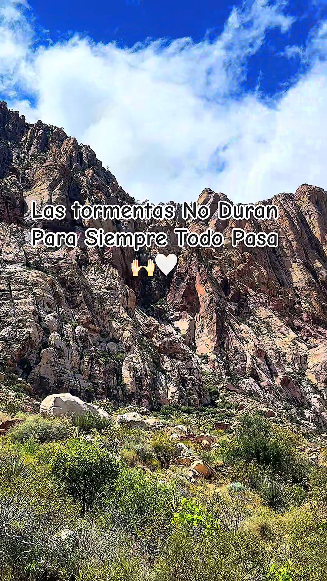 @Norma Pedraza