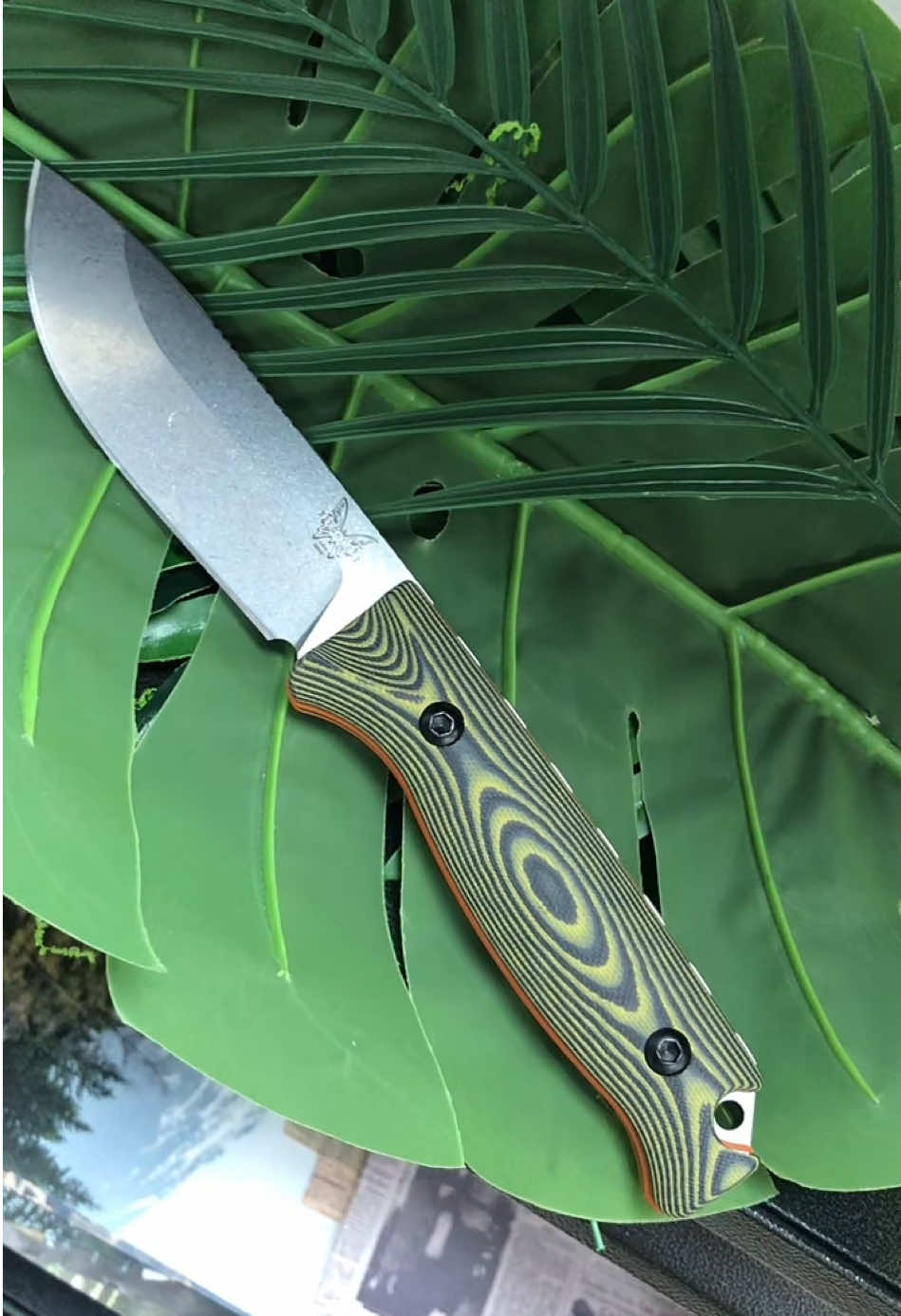 @goodlife89760