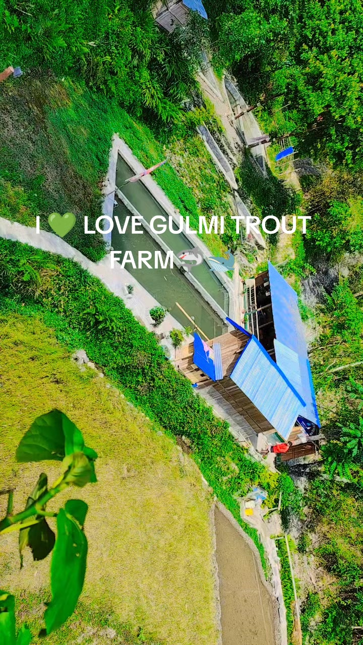 @Hari Gotame706🤘para para