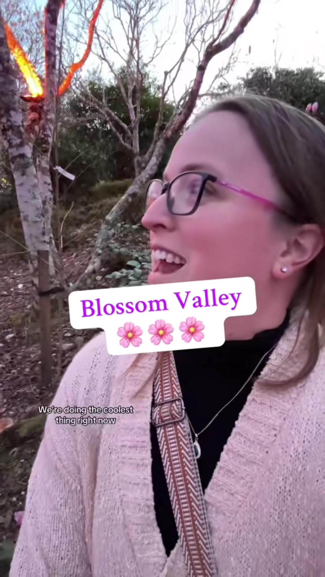 @KiwiFroYo🇳🇿