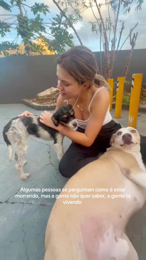@Isabela Caetano