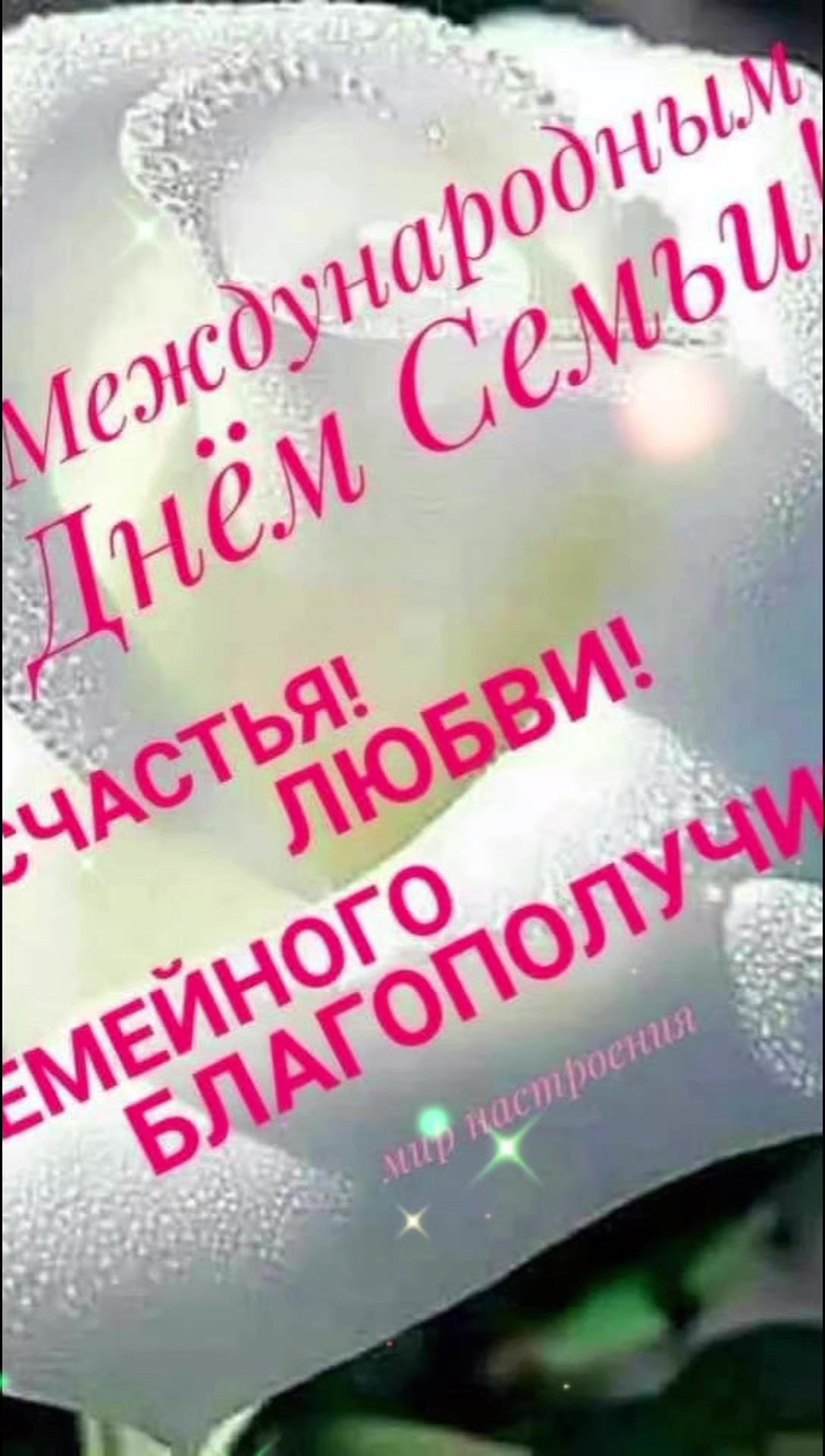 @Светлана Цокан