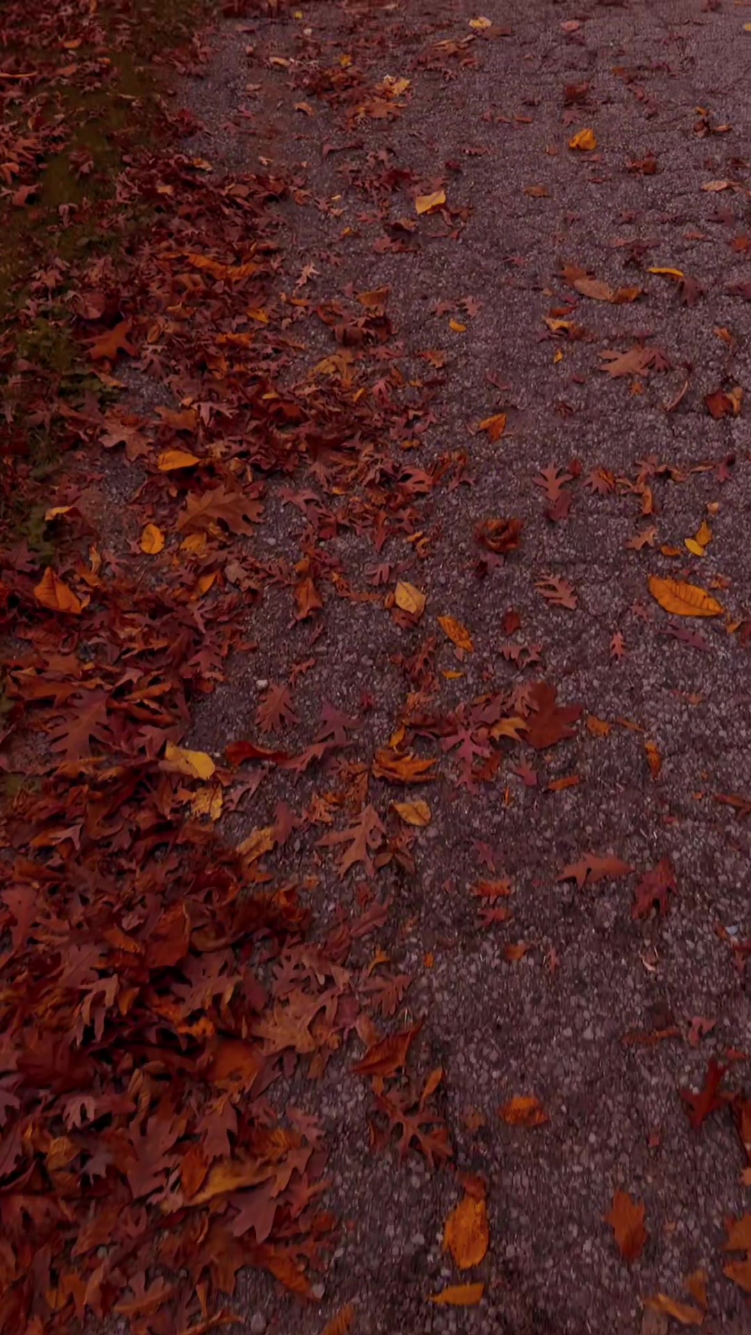 @JulesScenery