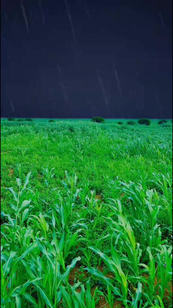 @s&eacute;ny sy10