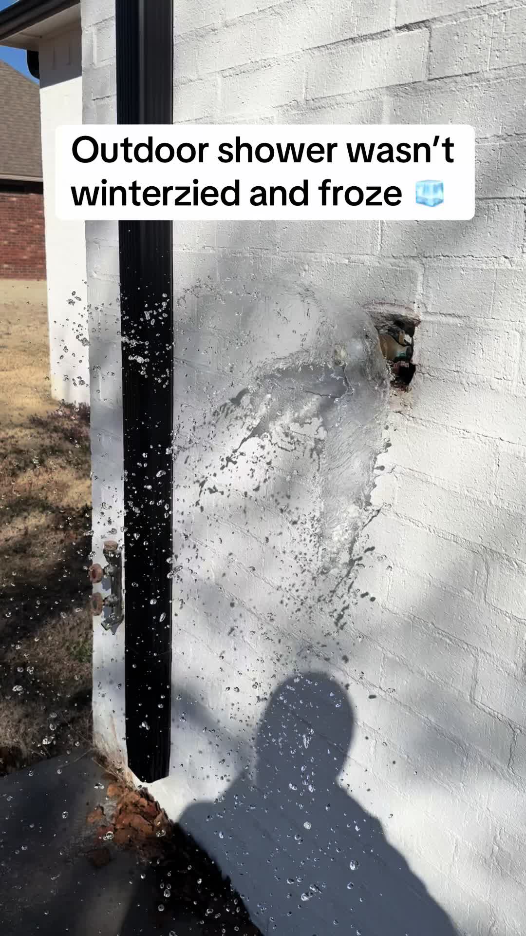 @The Millennial Plumber