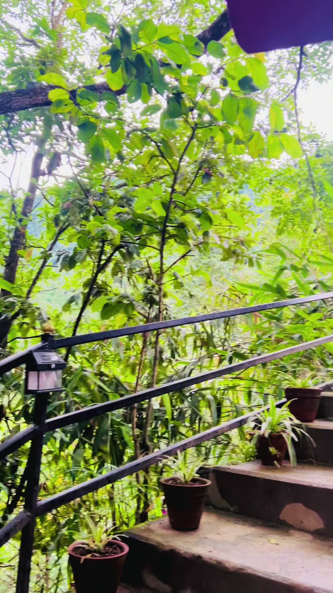 @Ishwari Sapkota