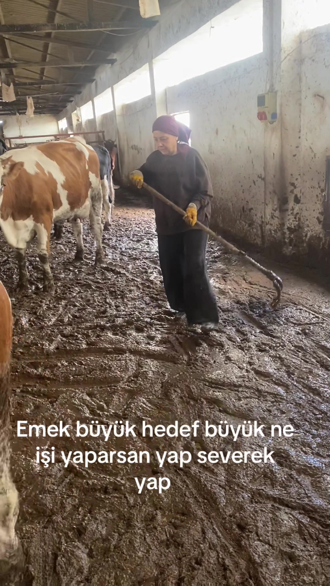 @Fatma Toptaş