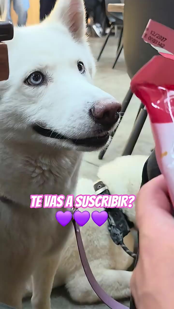 @F4MILY TIM3