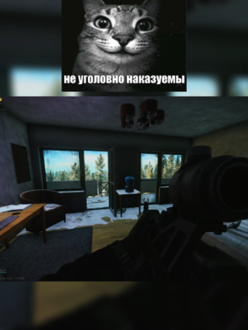 @котиковлюбитель21