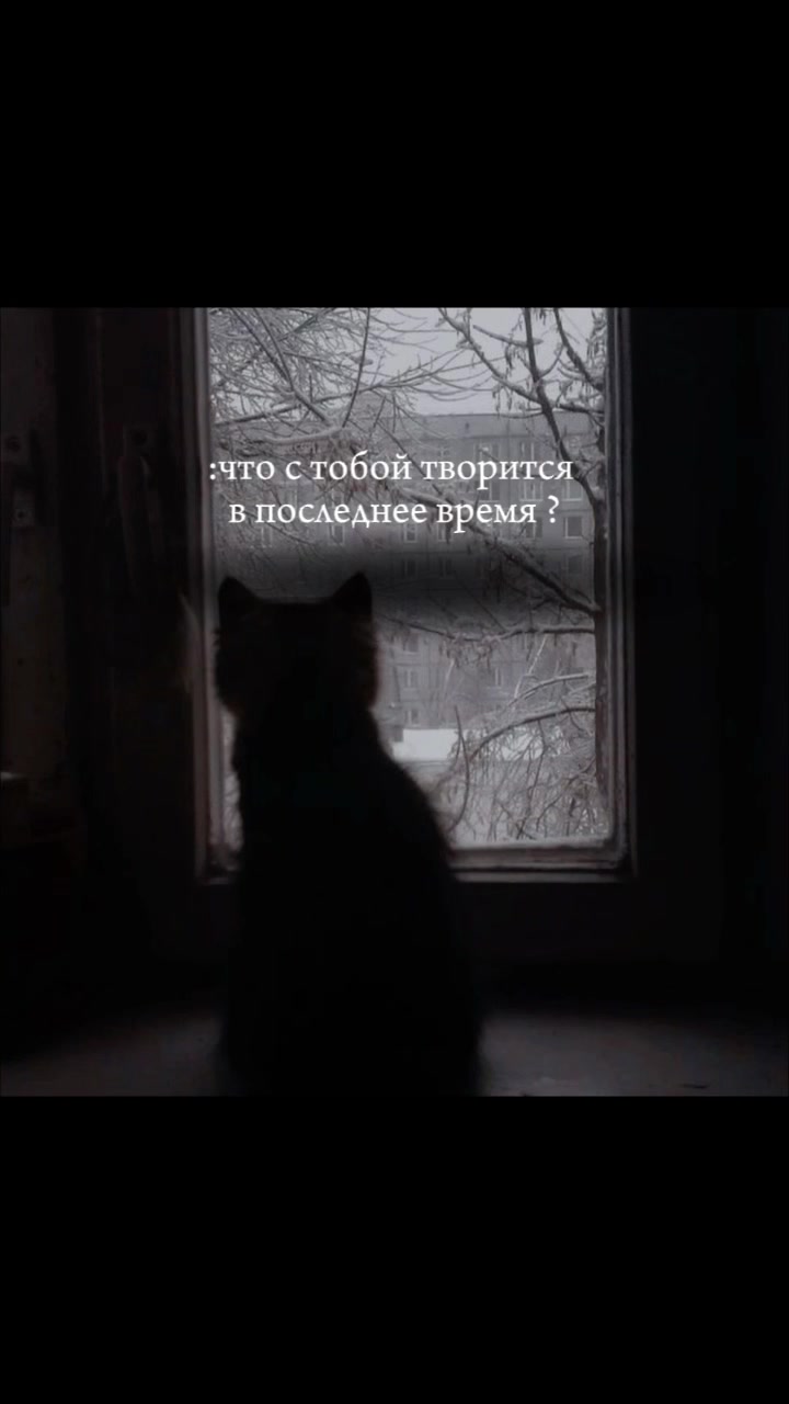 @варкис🐾