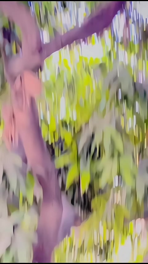 @Saadixe_001