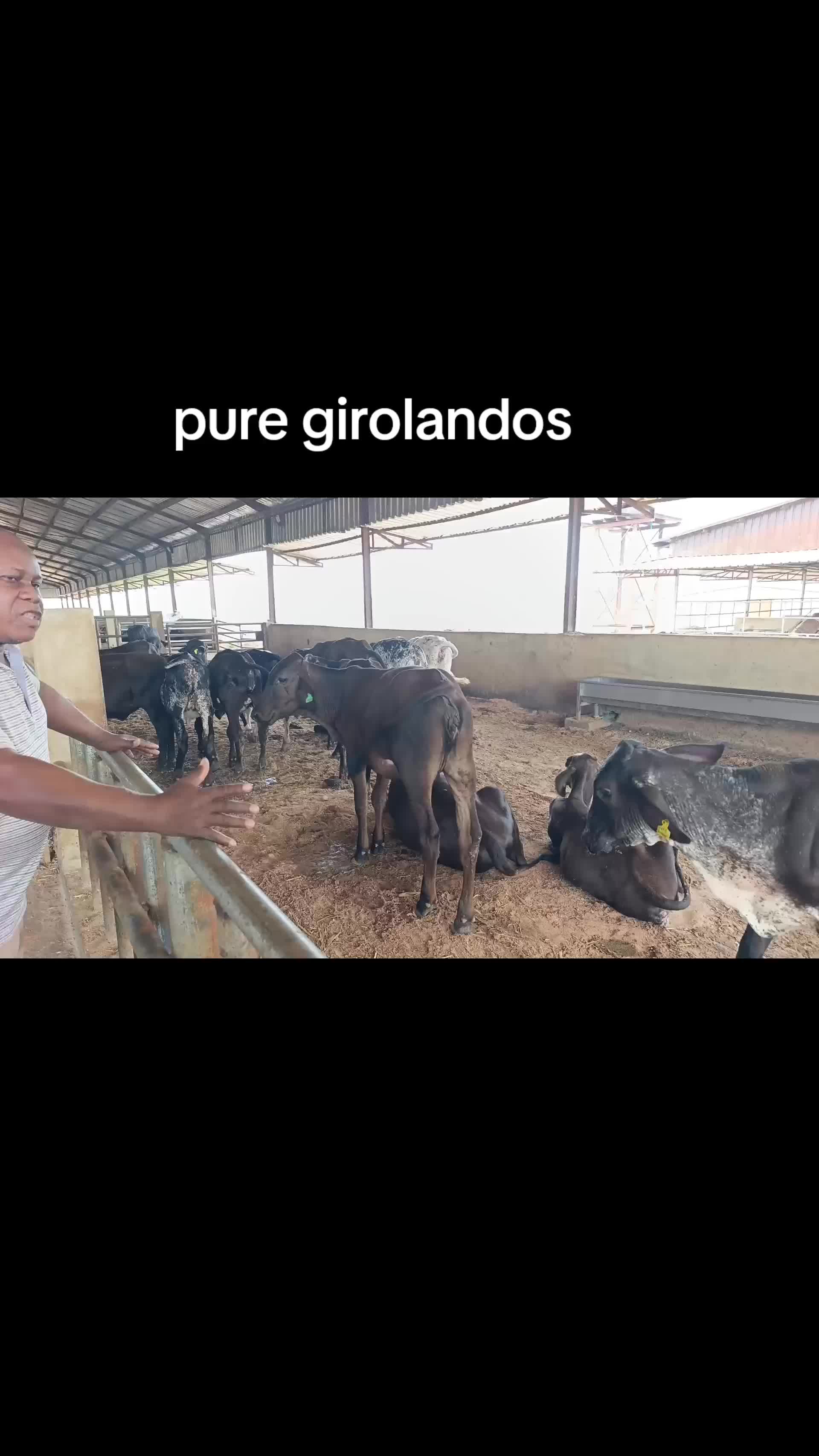 @Daily Dairy Farm Ke