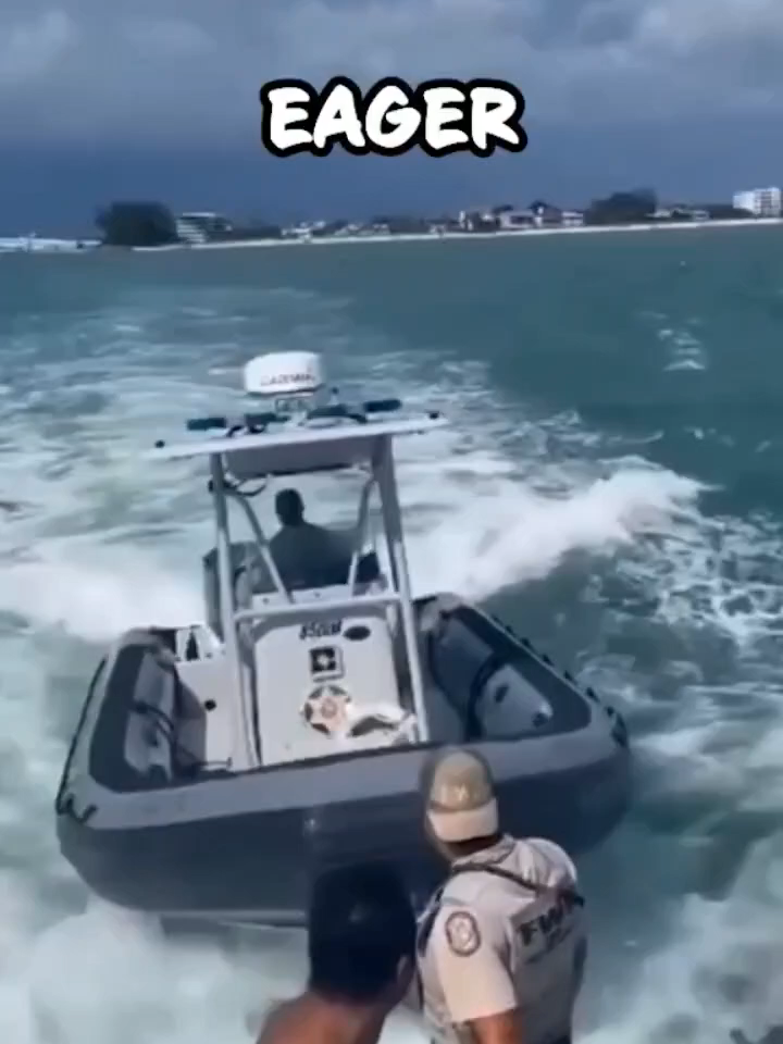@News ICE