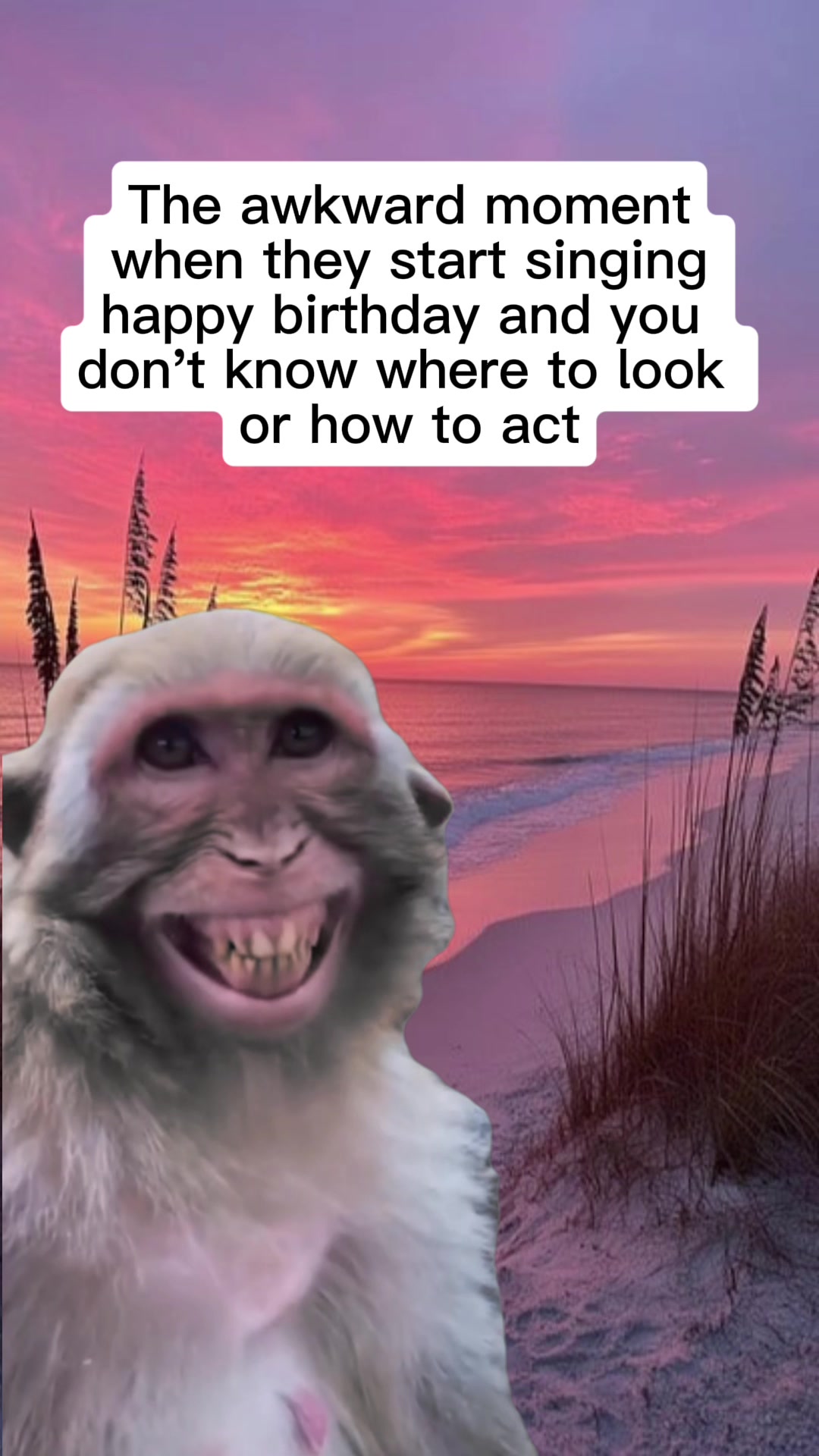 @meme