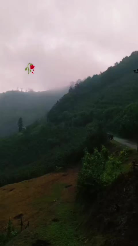 @🖤Sesizliğin🖤Çığlığı🖤