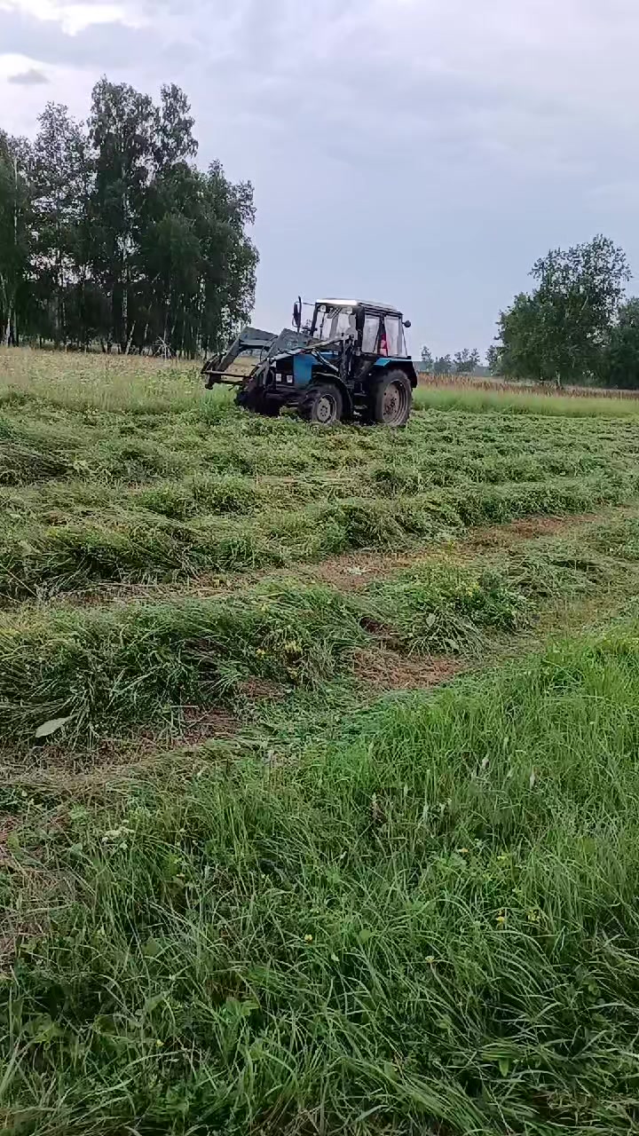 @55 Николайхрамов✌️✌️