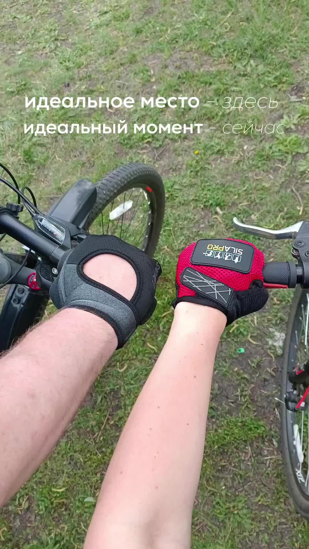 @Татьяна Моисеева