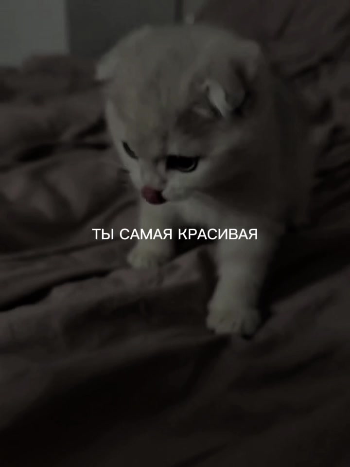 @ХХИКА