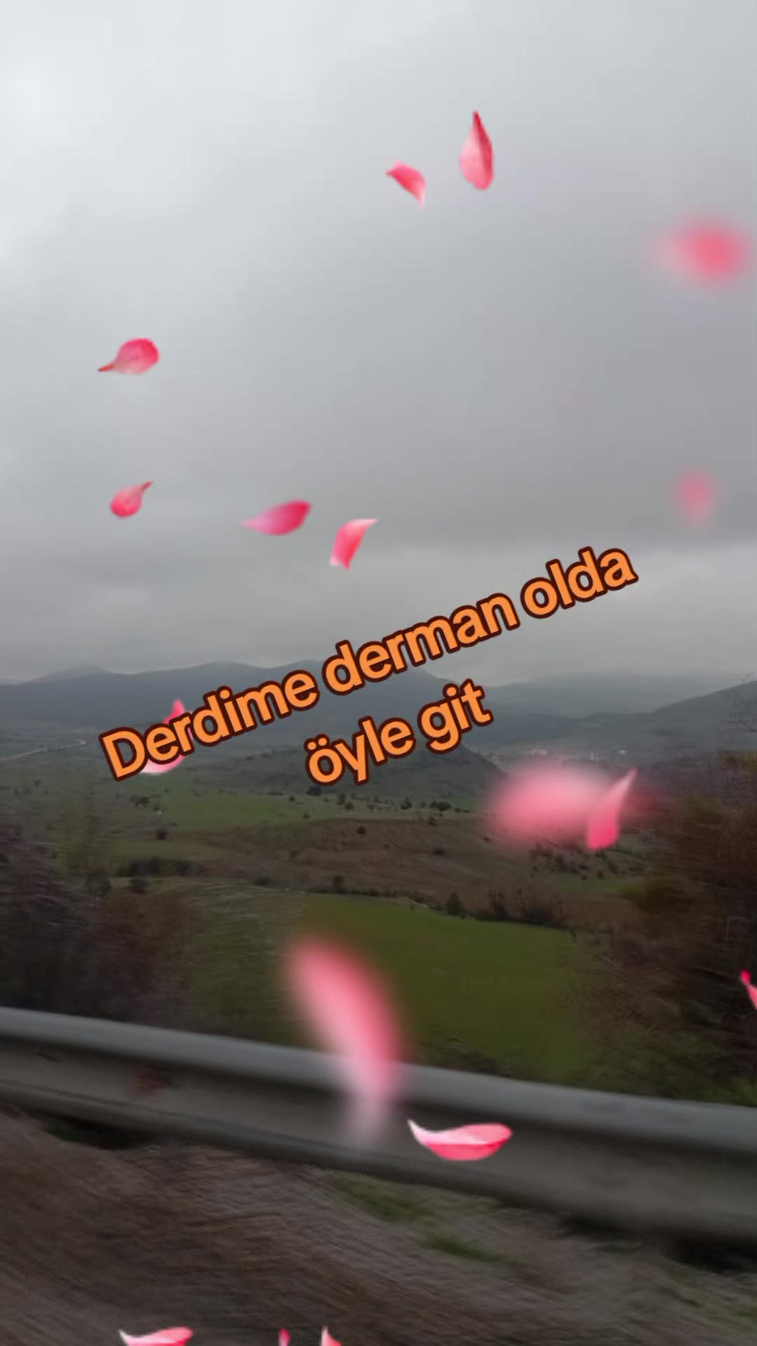 @Ercan Berber