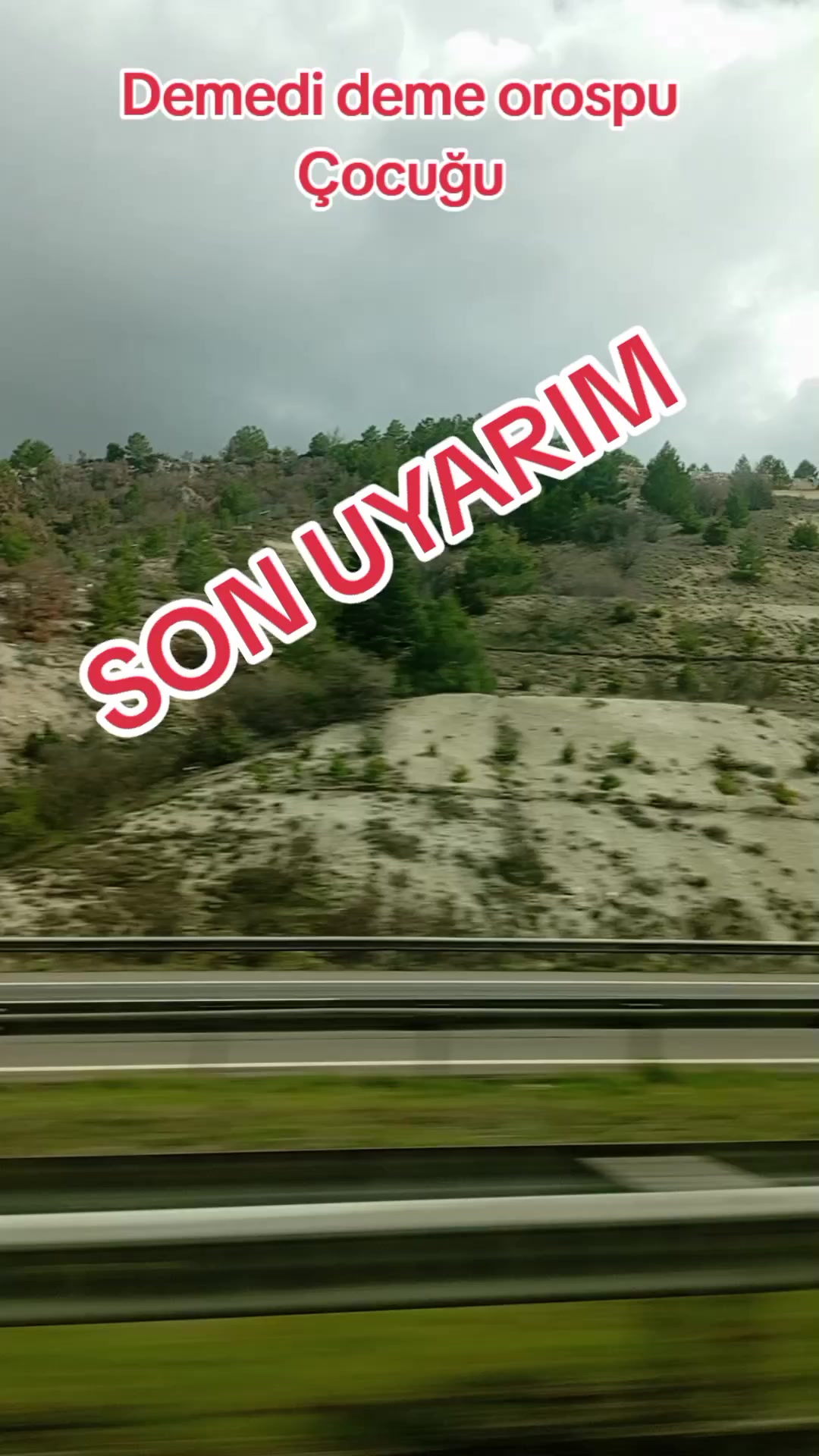 @🦁 SAKİN OLUN BEN GELDİM SLM🦁
