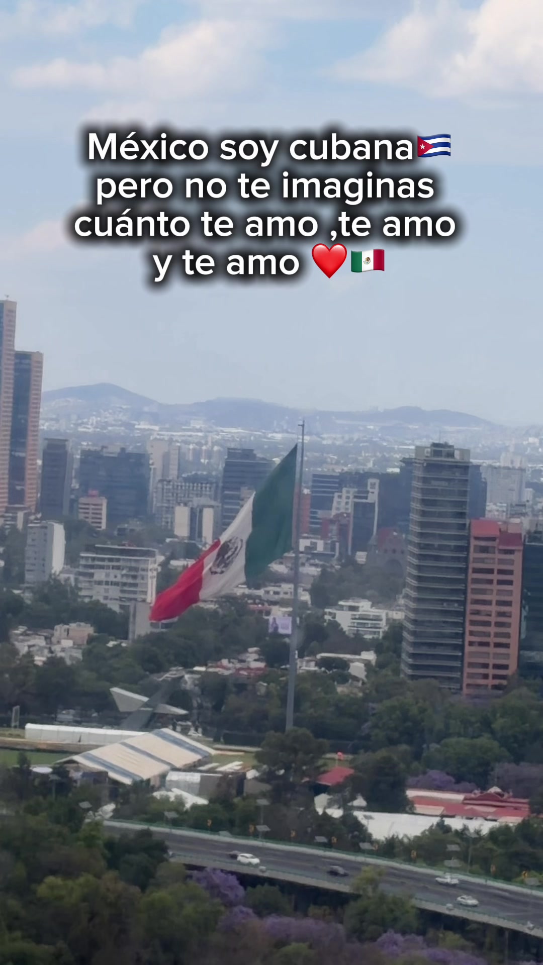 @lizar8