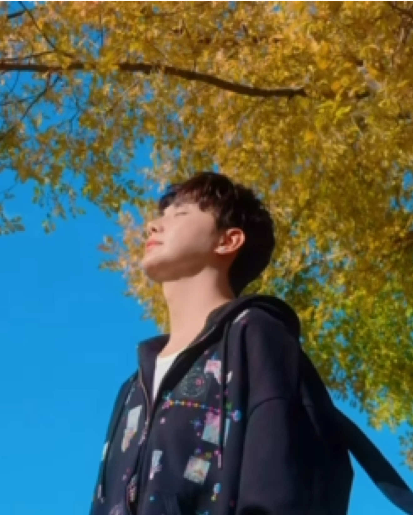 @알렉스 Alex