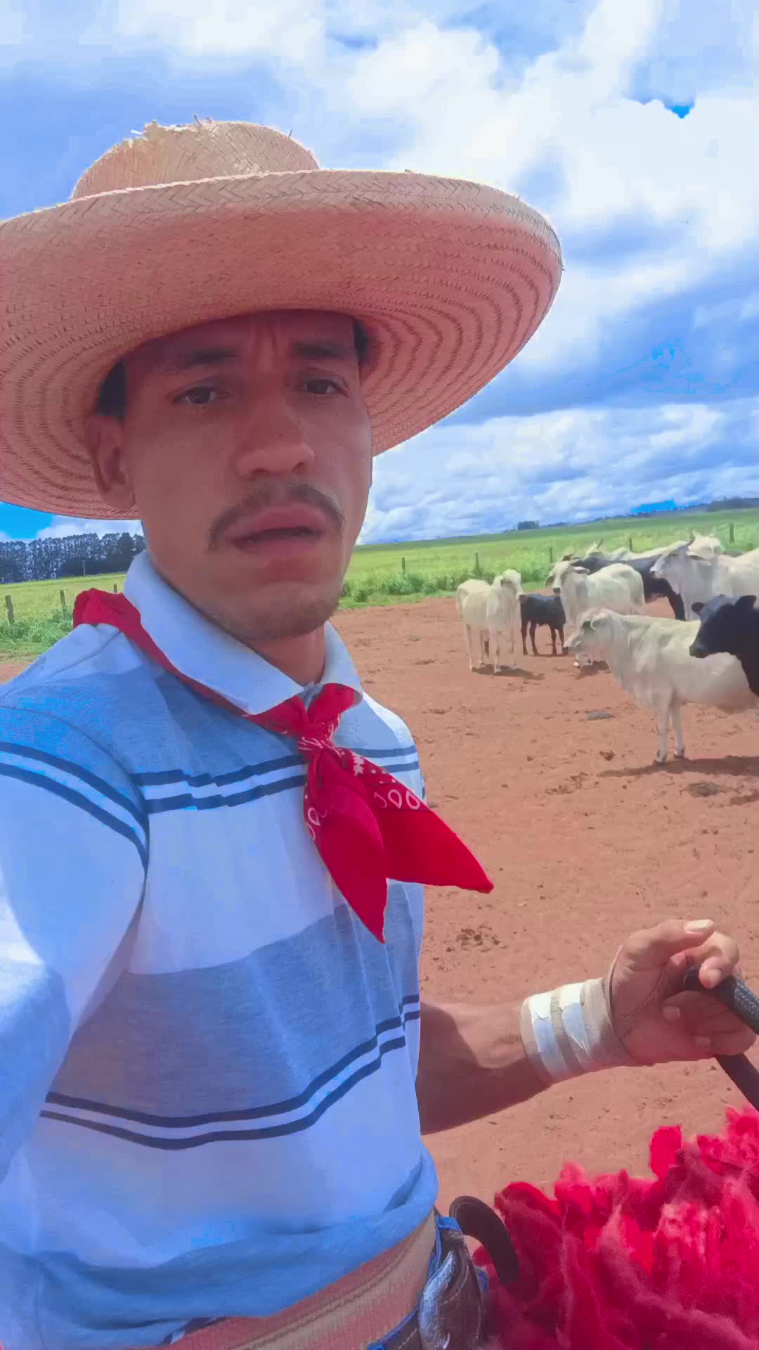 @EDSON.BENEVIDES🤠🍃