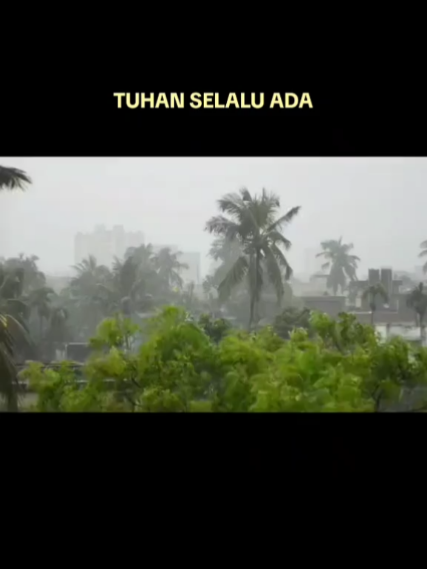 @Bulir Padi