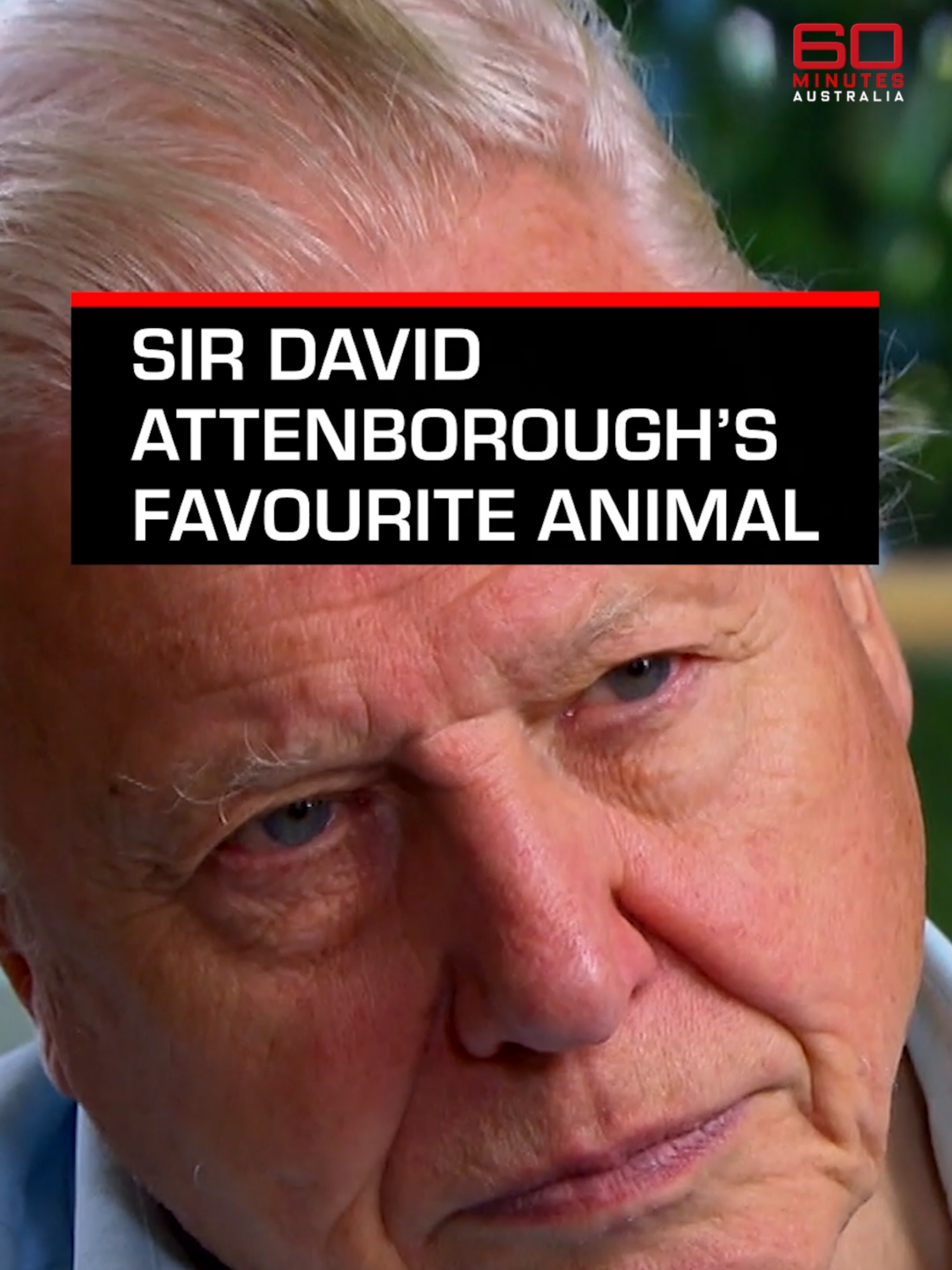 @60 Minutes Australia