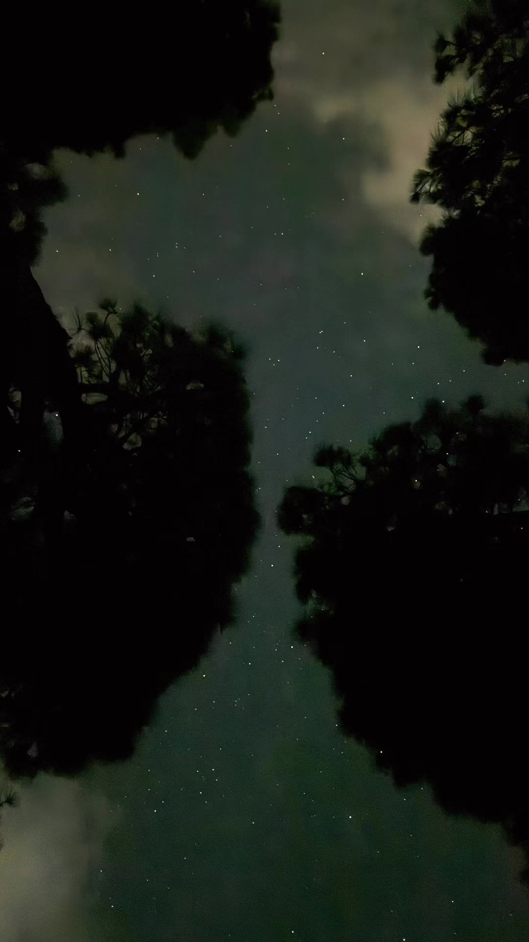 @🌿 𝓝𝓪𝓽𝓾𝓻𝓮 𝓢𝓸𝓾𝓵