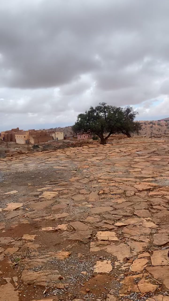 @فاطيمتو