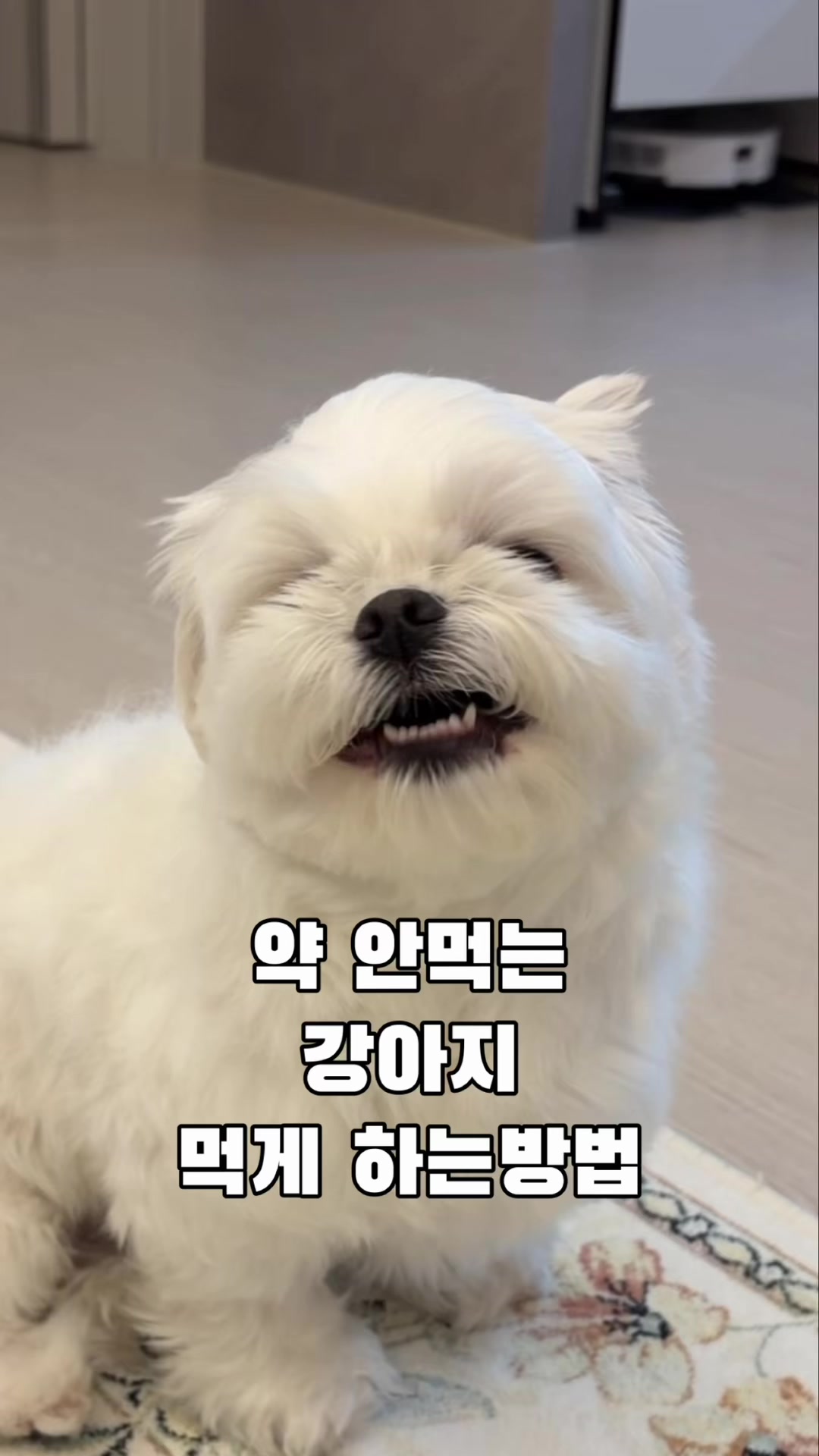 @박까까