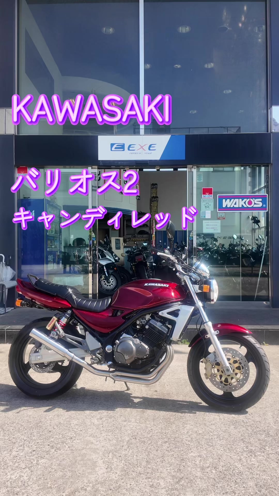 @katsushika EXE