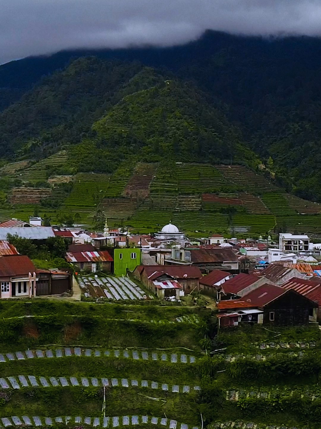 @Dieng Life Villas