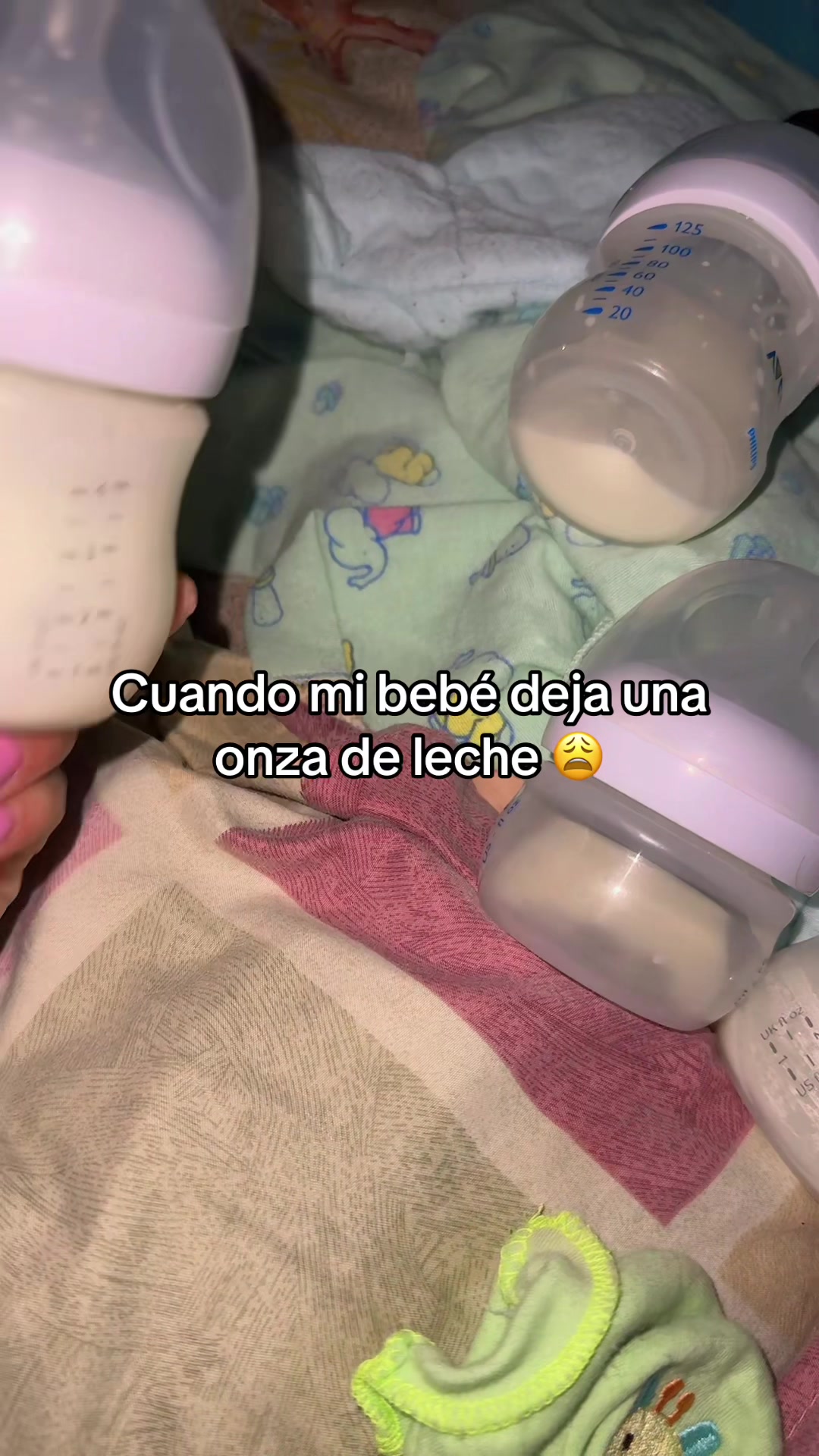 @Sol-Argueta 🐾🤍