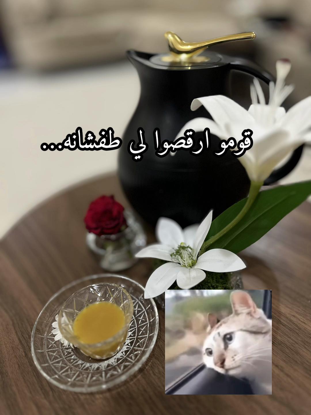 @ℳ𝒪𝒪𝒩🇸🇦💛
