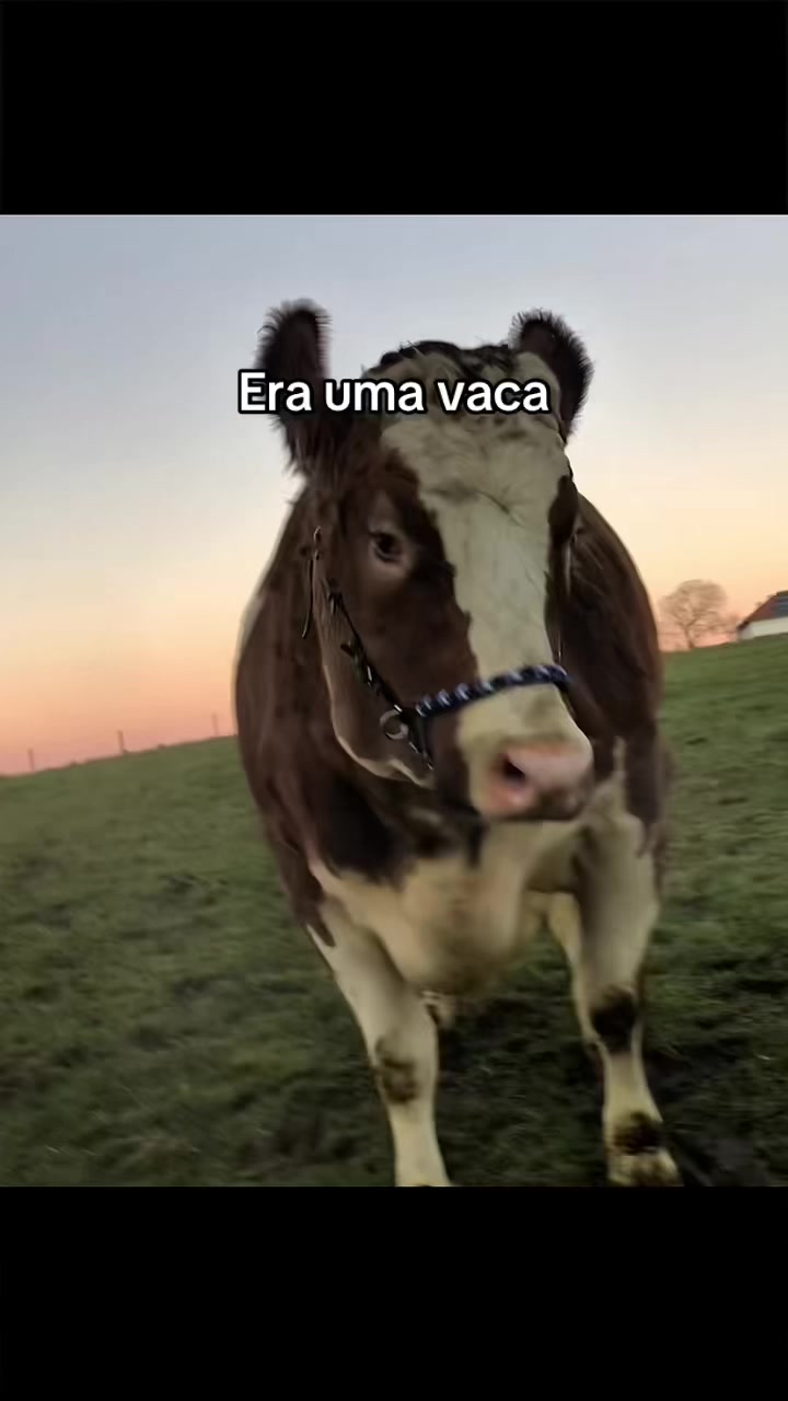 @Carne é cruel