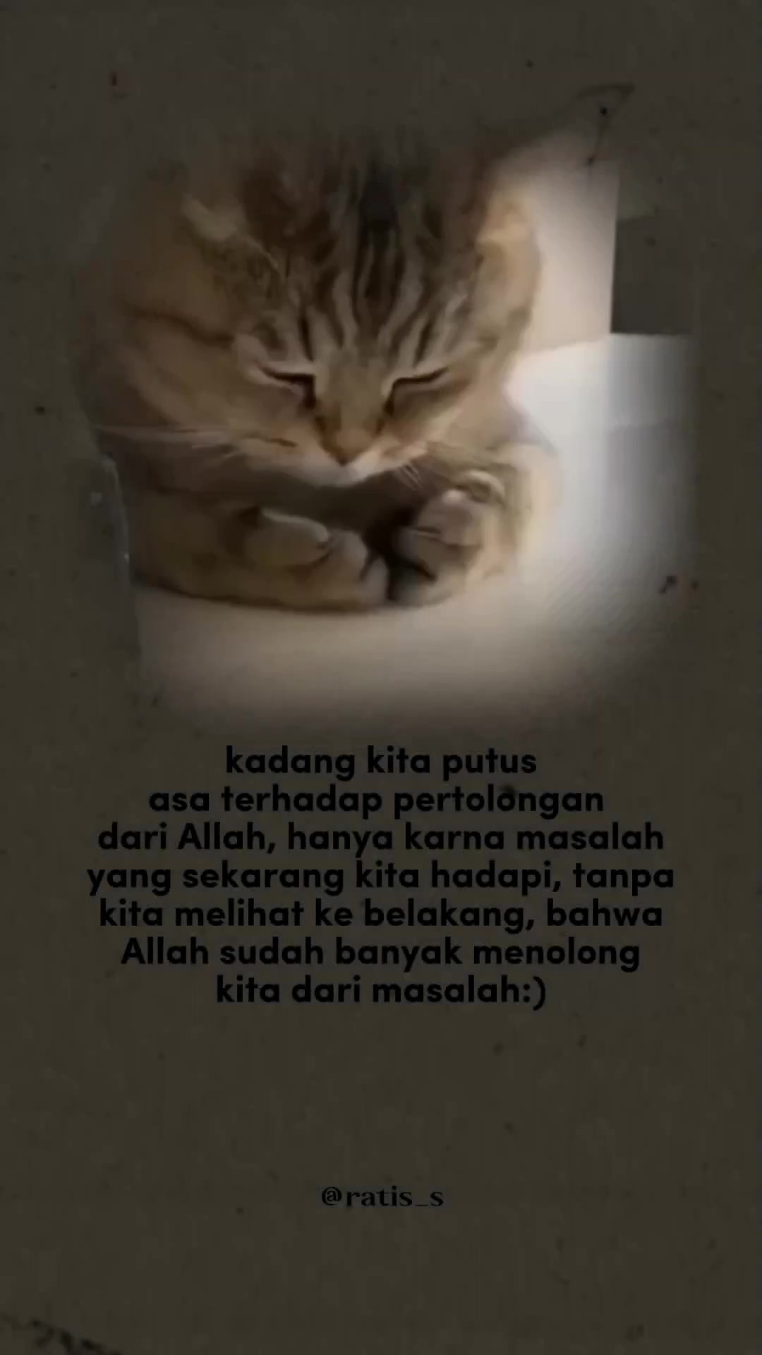 @ratsss