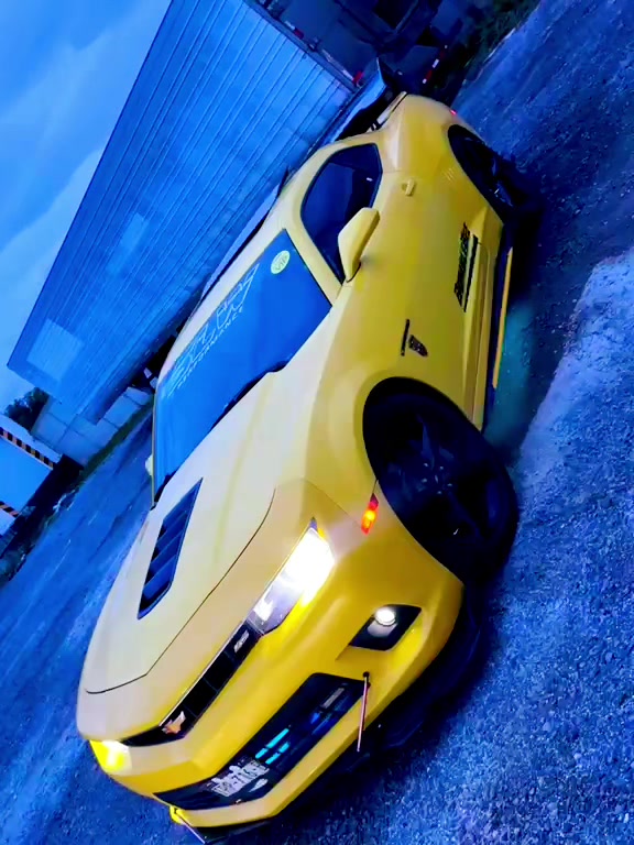 @Alexis CAMARO SS BUMBLEBEE