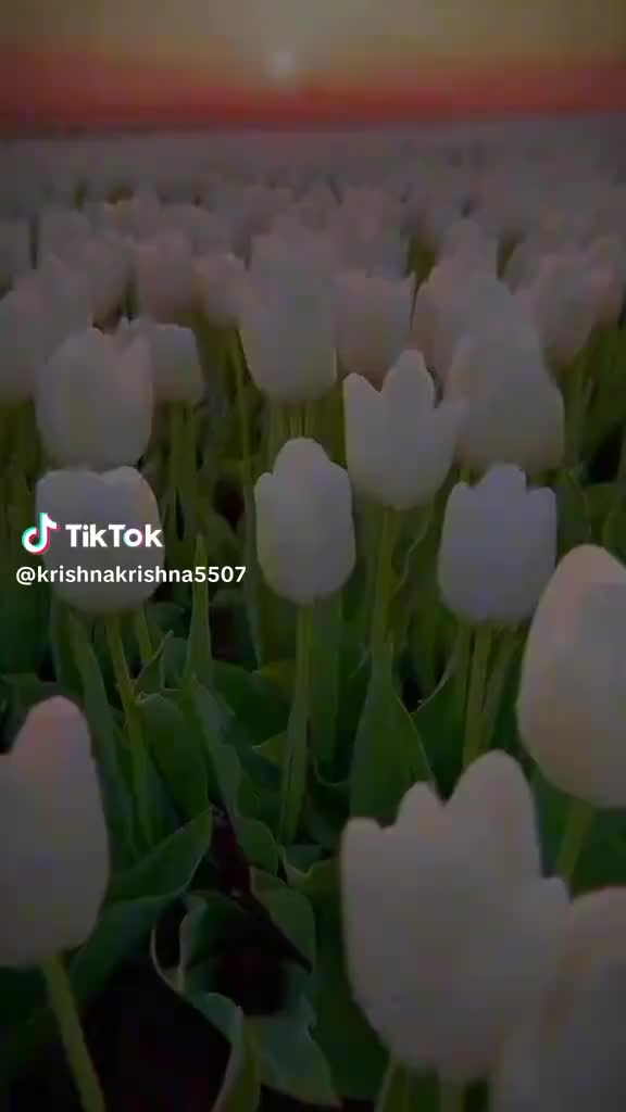 @Malike 😎🥸