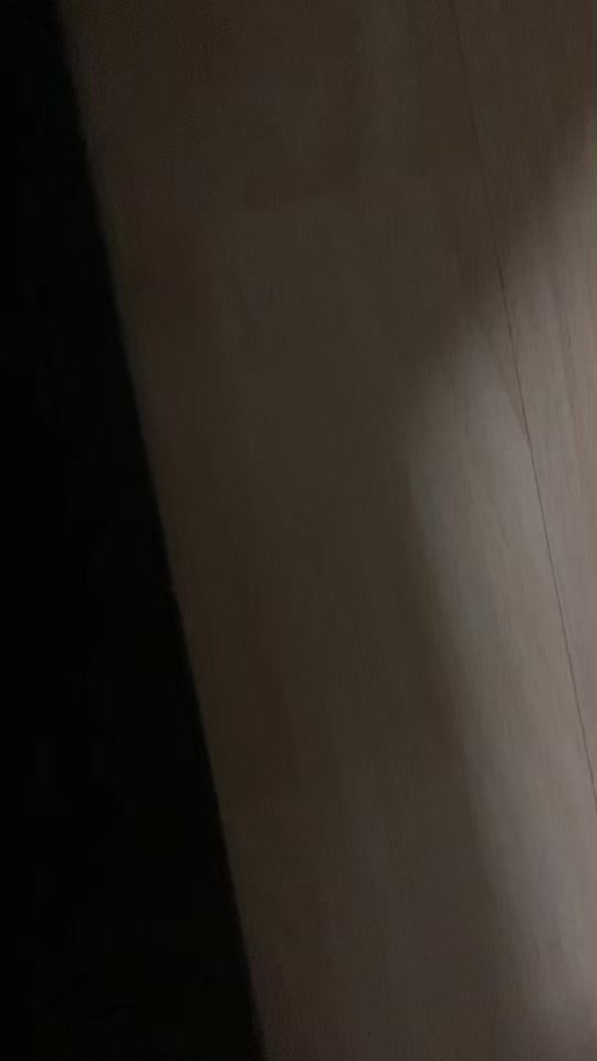 @Lemon_the_cockatiel
